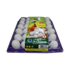 Al Fayoum White Egg 30'S