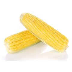 9133920000000_1