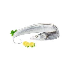 Belt Fish