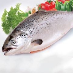 Salmon Fish Whole |1Kg