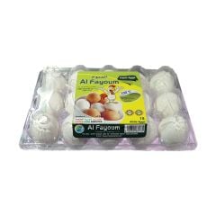 Al Fayoum White Egg 15'S